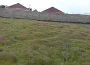 Satılır 10 sot torpaq Atyalı