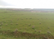 Satılır 12 sot torpaq Qala