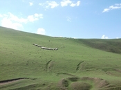 Satılır 25 sot torpaq Mehdiabad