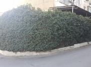 Satılır 2 otaqlı 30 m2 obyekt 5 mkr