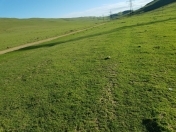 Satılır 200 sot torpaq Xırdalan