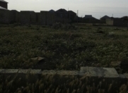 Satılır 3 sot torpaq Müşfiqabad
