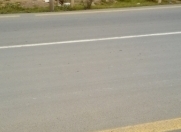 Satılır 6 sot torpaq Albalı