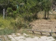 Satılır 7 sot torpaq Badamdar