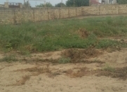 Satılır 12 sot torpaq Bilgəh