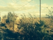 Satılır 2000 sot torpaq Perekeşkül