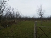 Satılır 22 sot torpaq Xaçmaz