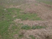 Satılır 6 sot torpaq Hövsan