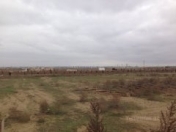 Satılır 12 sot torpaq Xaçmaz