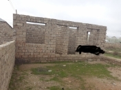 Satılır 2 otaqlı 24 m2 həyət evi Binə