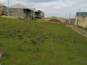 Satılır 80 sot torpaq Çiçək