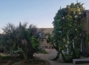 Satılır 16 sot torpaq Albalı