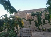 Satılır 16 sot torpaq Albalı