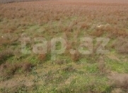 Satılır 130 sot torpaq Buzovna
