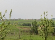 Satılır 30 sot torpaq Şamaxı