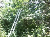 Satılır 6 sot torpaq Ağcabədi