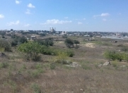 Satılır 50 sot torpaq Sahil bağı