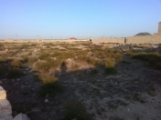 Satılır 18 sot torpaq Qala
