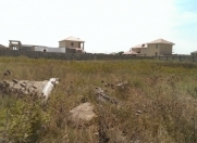 Satılır 5 sot torpaq Albalı