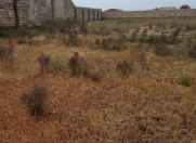 Satılır 11 sot torpaq Mərdəkan