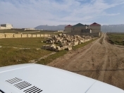 Satılır 8 sot torpaq Xırdalan