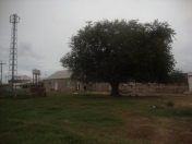 Satılır 300 sot torpaq Binə