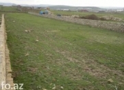 Satılır 16 sot torpaq Saray