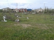 Satılır 6 sot torpaq Pirşağı