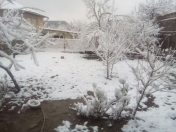 Satılır 3 otaqlı 140 m2 həyət evi Şəki