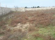 Satılır 36 sot torpaq Maştağa