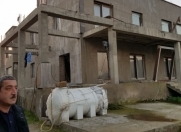 Satılır 7 otaqlı 12 m2 bağ evi Zağulba