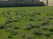 Satılır 10 sot torpaq Hövsan