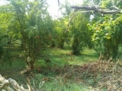 Satılır 2 sot torpaq Xırdalan