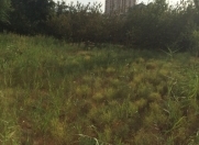 Satılır 18 sot torpaq İnşaatçılar m.