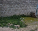 Satılır 4 sot torpaq Binə