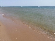 Satılır 11.5 sot torpaq Türkan