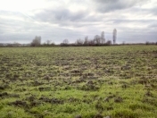 Satılır 4000 sot torpaq Xaçmaz