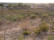 Satılır 3 sot torpaq Novxanı