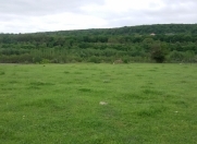 Satılır 10 sot torpaq Quba