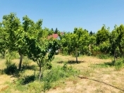 Satılır 17 sot torpaq Nardaran