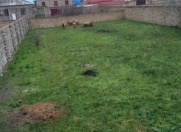 Satılır 6 sot torpaq Binə