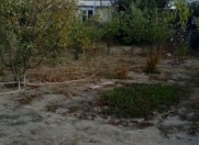 Satılır 11 sot torpaq Novxanı