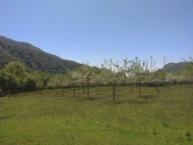 Satılır 10 sot torpaq İsmayıllı