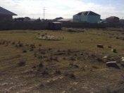 Satılır 26 sot torpaq Saray
