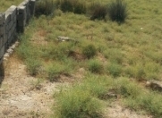 Satılır 6 sot torpaq Maştağa