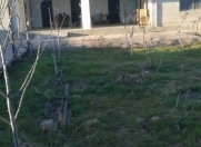 Satılır 9 sot torpaq Albalı