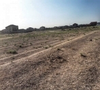 Satılır 100 sot torpaq Məhəmmədli