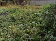 Satılır 6 sot torpaq İsmayıllı