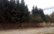 Satılır 15 sot torpaq Novxanı