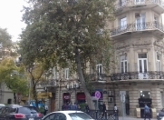 Satılır 9 otaqlı 350 m2 köhnə tikili Nizami kinoteatrı